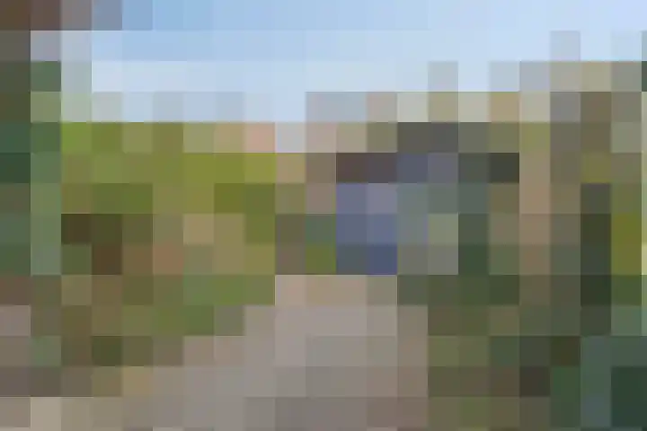 Klimopberg 137 Roosendaal thumbnail 32