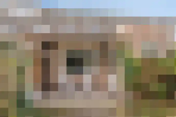 Klimopberg 137 Roosendaal thumbnail 36