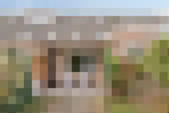 Klimopberg 137 Roosendaal thumbnail 37