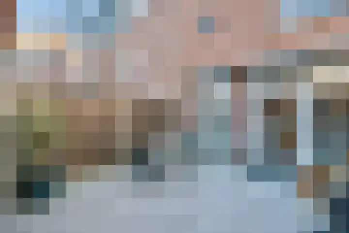 Klimopberg 55 Roosendaal thumbnail 30