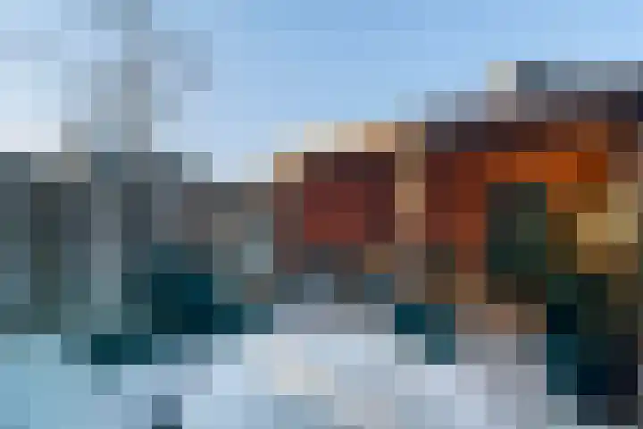 Klimopberg 55 Roosendaal thumbnail 32