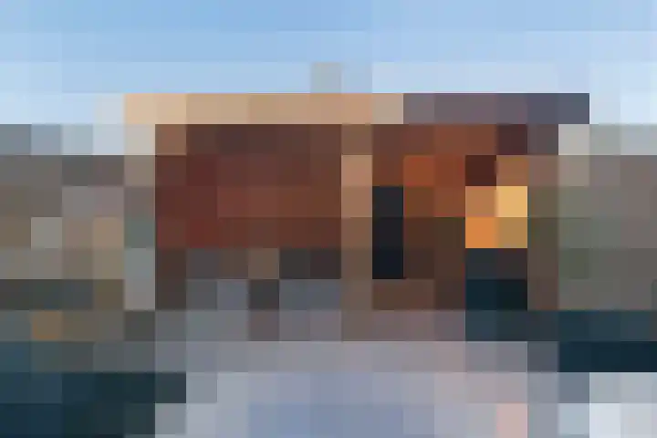 Klimopberg 55 Roosendaal thumbnail 33