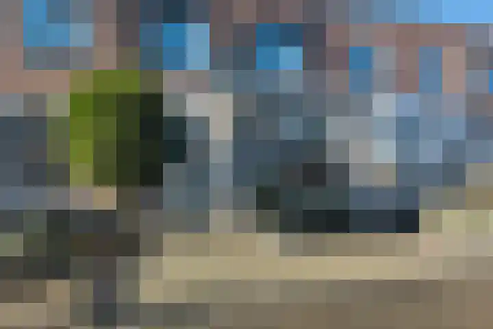 Klimopberg 55 Roosendaal thumbnail 36