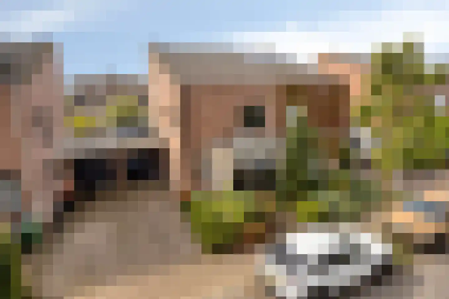 Klimopberg 73 Roosendaal thumbnail 35