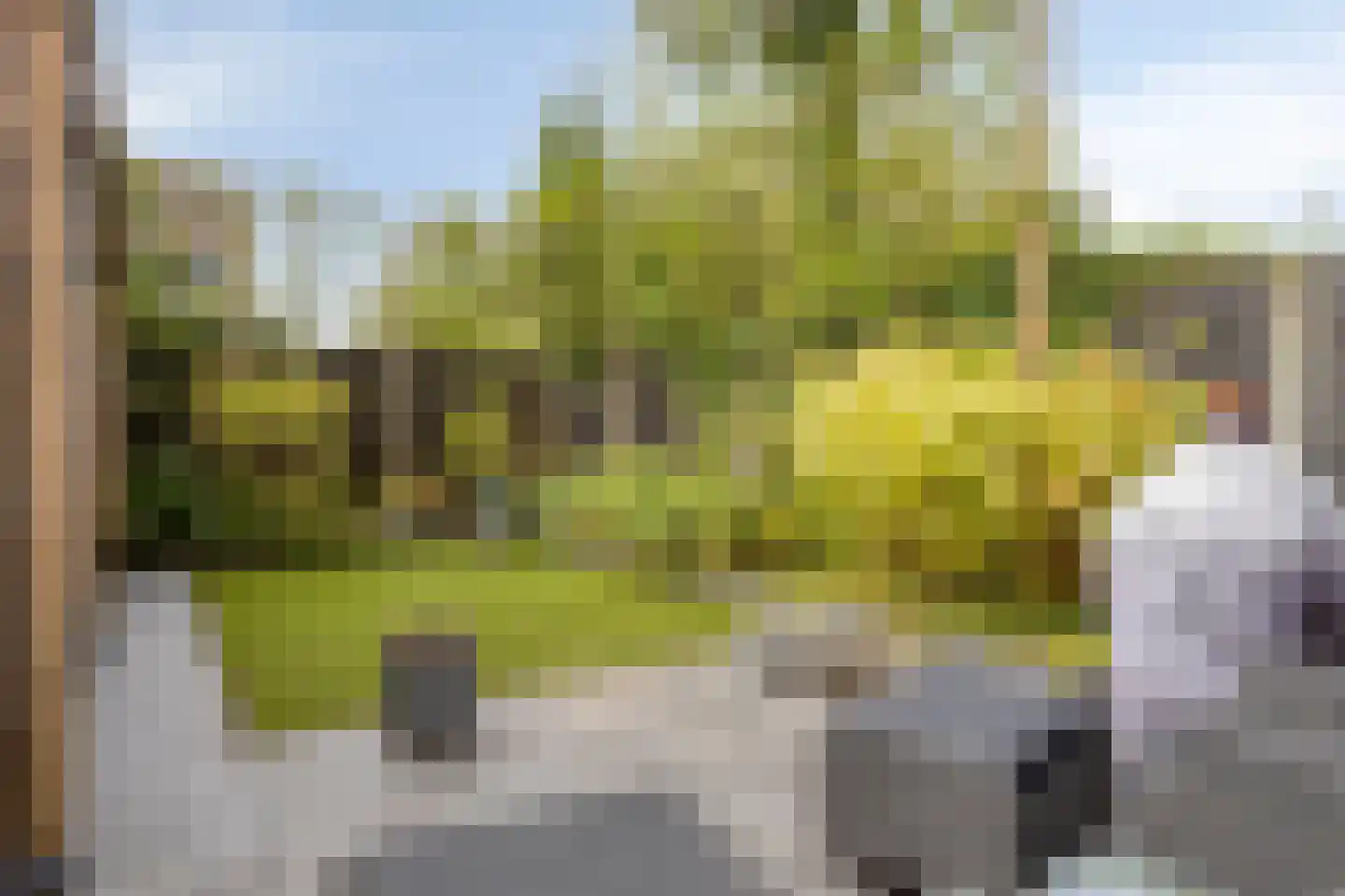 Klimopberg 73 Roosendaal thumbnail 4
