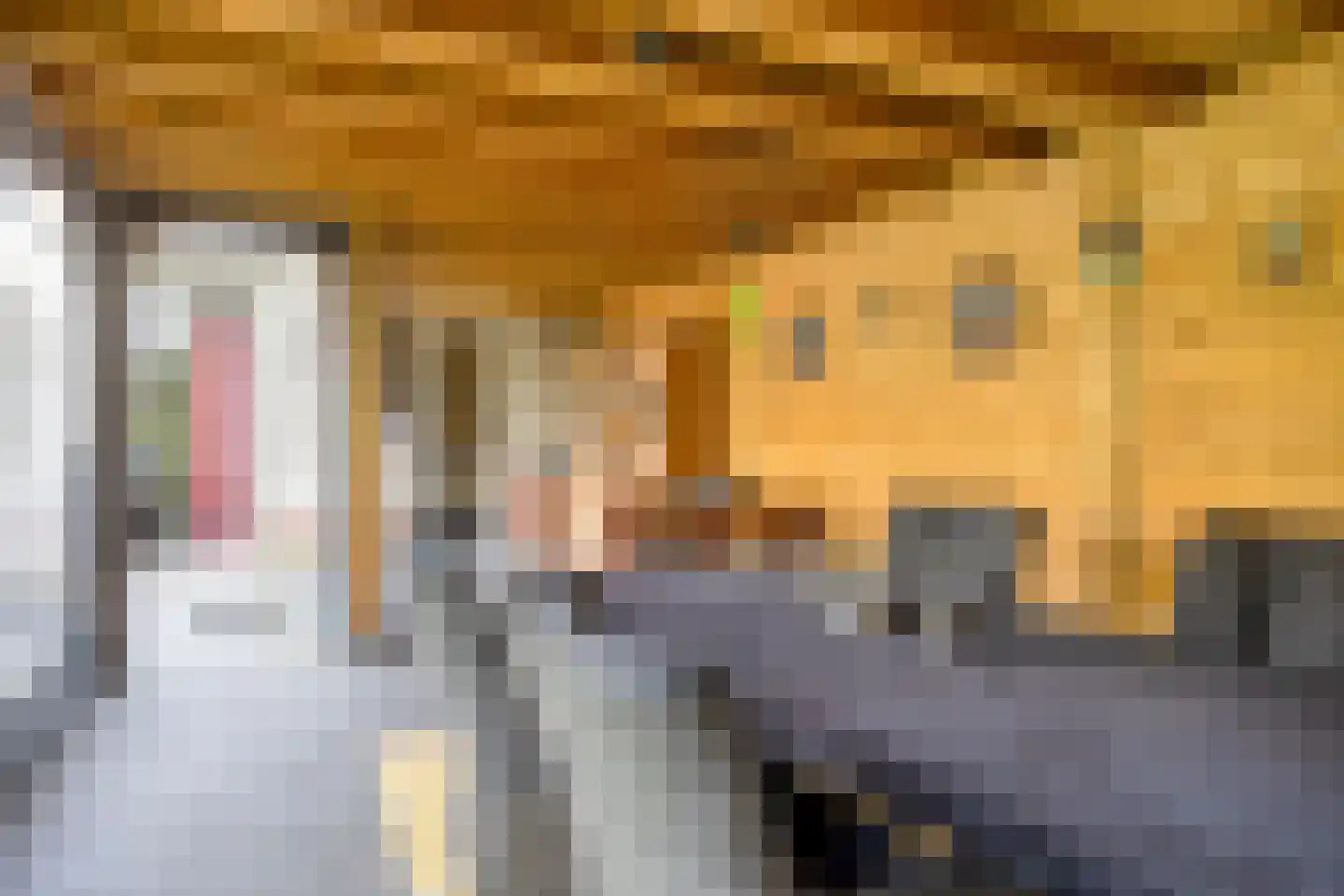 Klimopberg 73 Roosendaal thumbnail 5