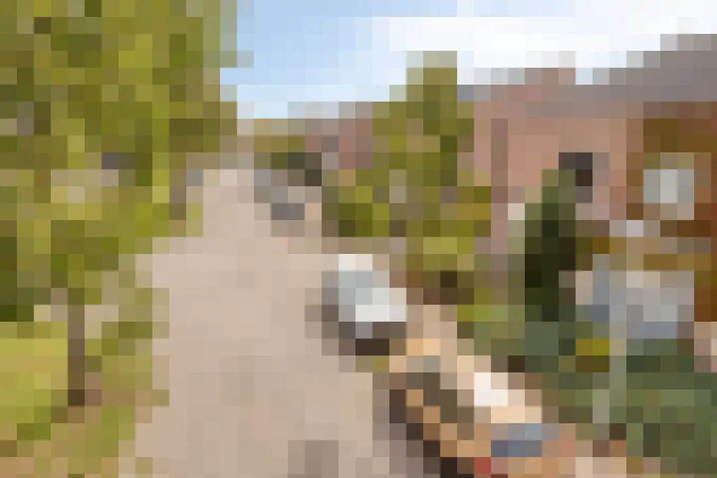 Klimopberg 73 Roosendaal thumbnail 6