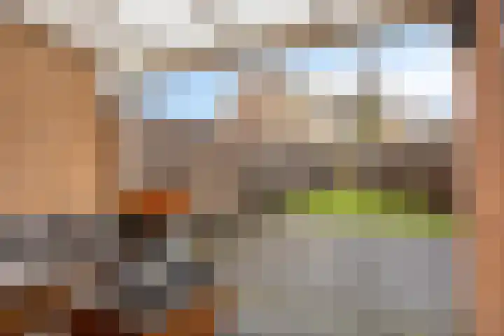Klimopberg 99 Roosendaal thumbnail 23