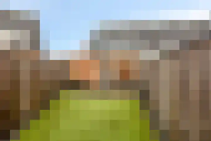 Klimopberg 99 Roosendaal thumbnail 27