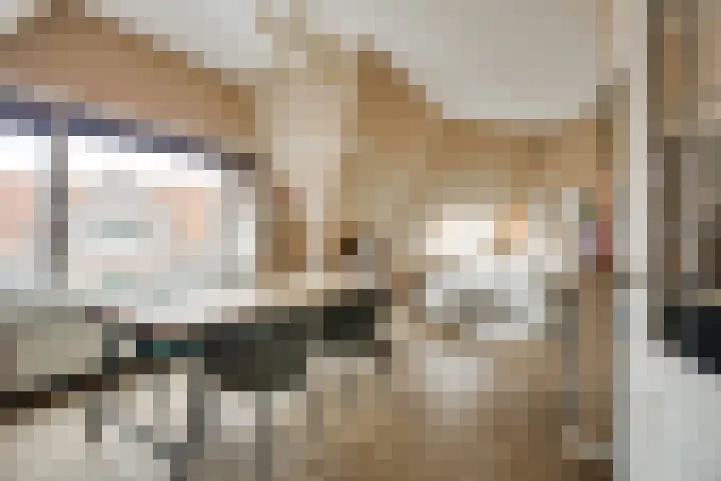 Klimophof 11 Den Haag thumbnail 11