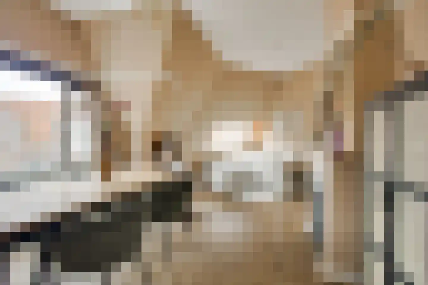 Klimophof 11 Den Haag thumbnail 12