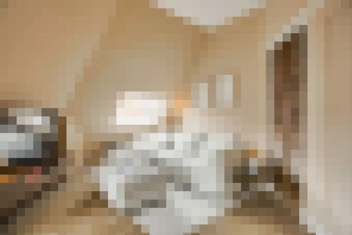 Klimophof 11 Den Haag thumbnail 13