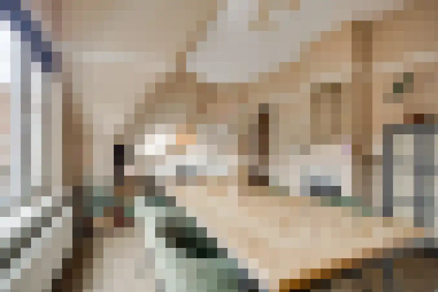 Klimophof 11 Den Haag thumbnail 14