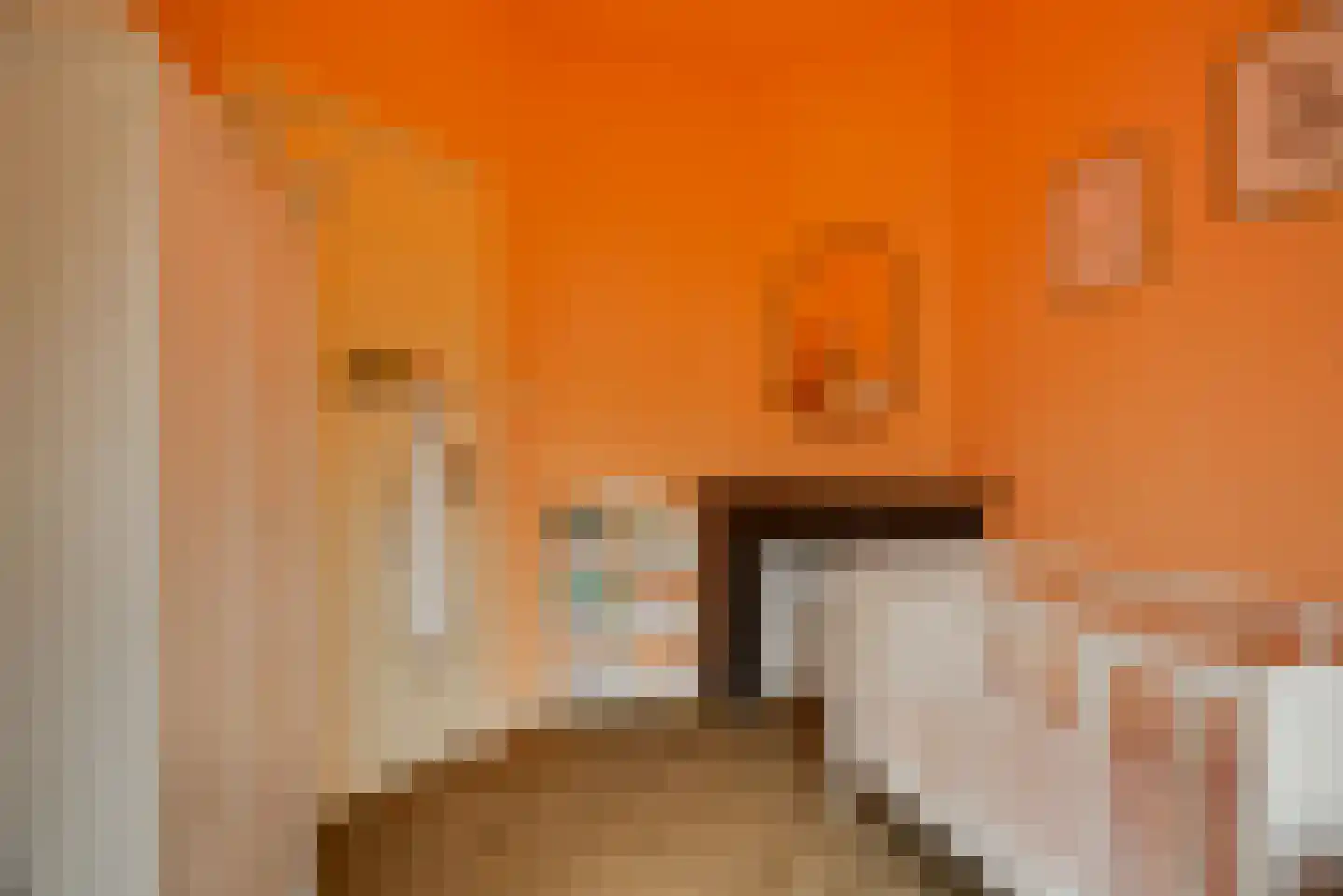 Klimophof 11 Den Haag thumbnail 21