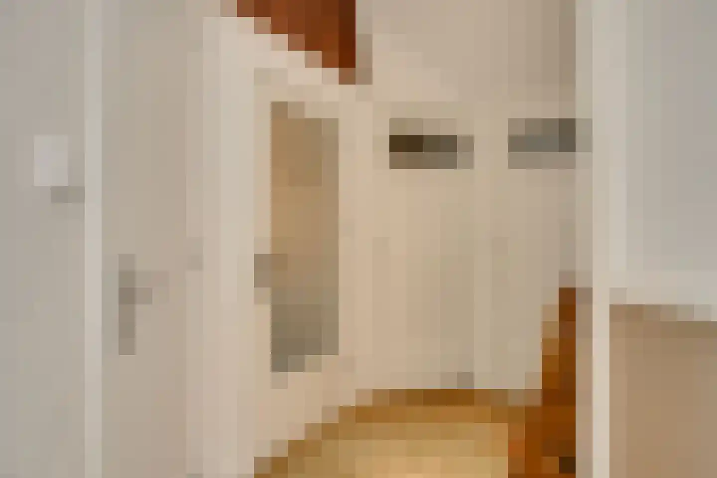 Klimophof 11 Den Haag thumbnail 8