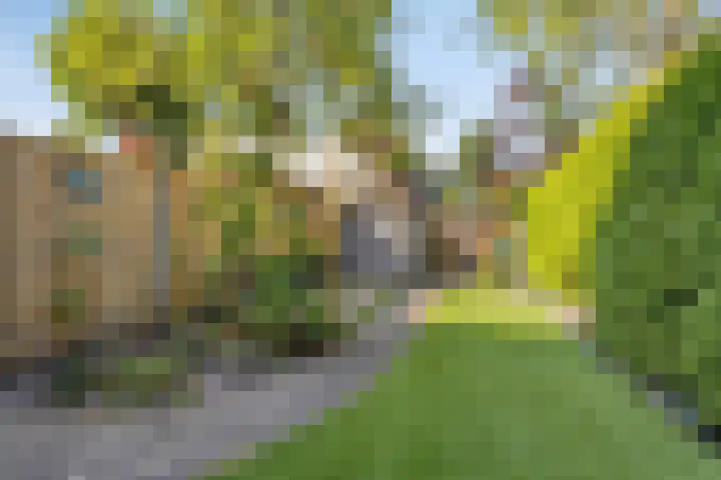 Klimoppad 15 Valkenswaard thumbnail 18