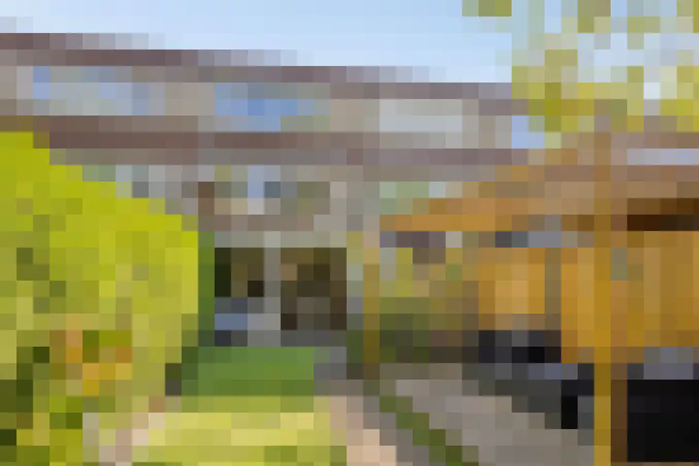 Klimoppad 15 Valkenswaard thumbnail 19