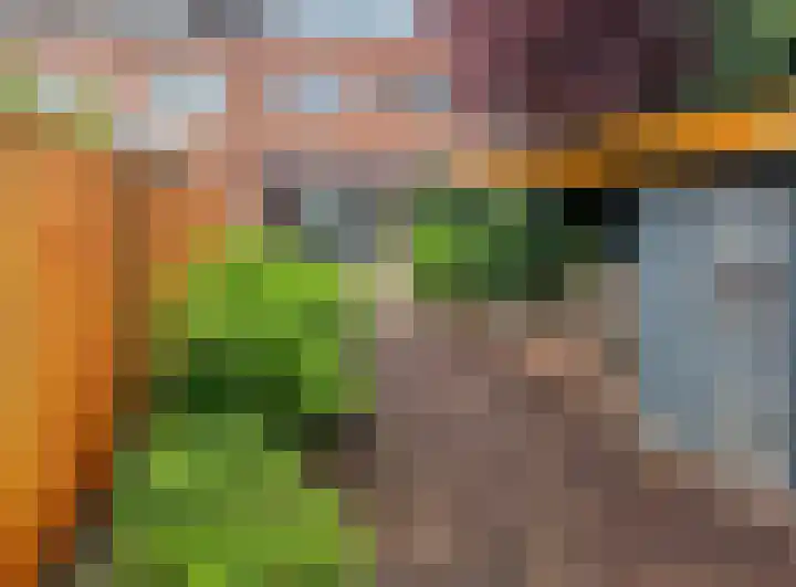 Klimopstraat 11 Breda thumbnail 20