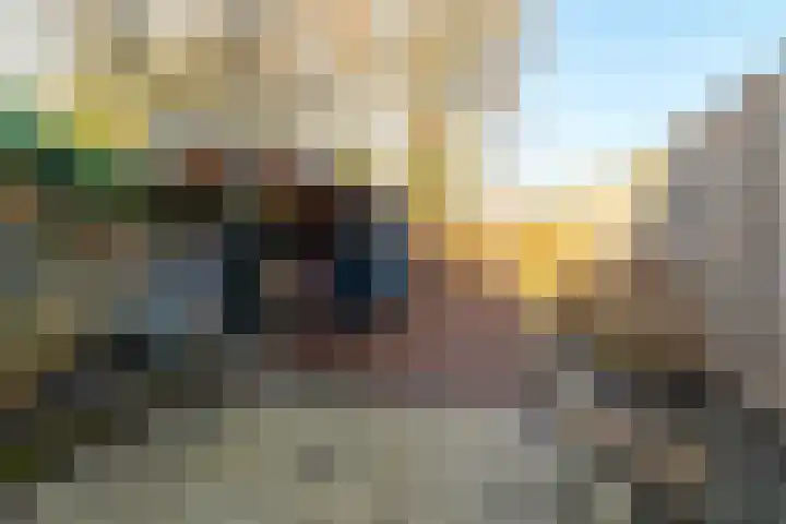 Klimopstraat 11 Breda thumbnail 22