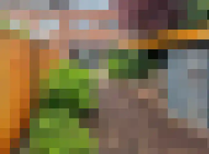 Klimopstraat 11 Breda thumbnail 5