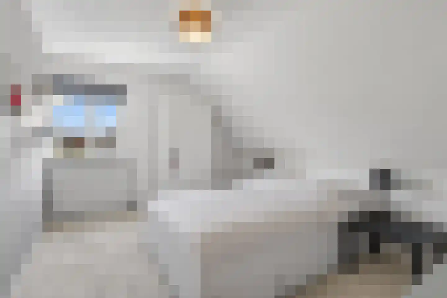 Klimopstraat 13 Vught thumbnail 31