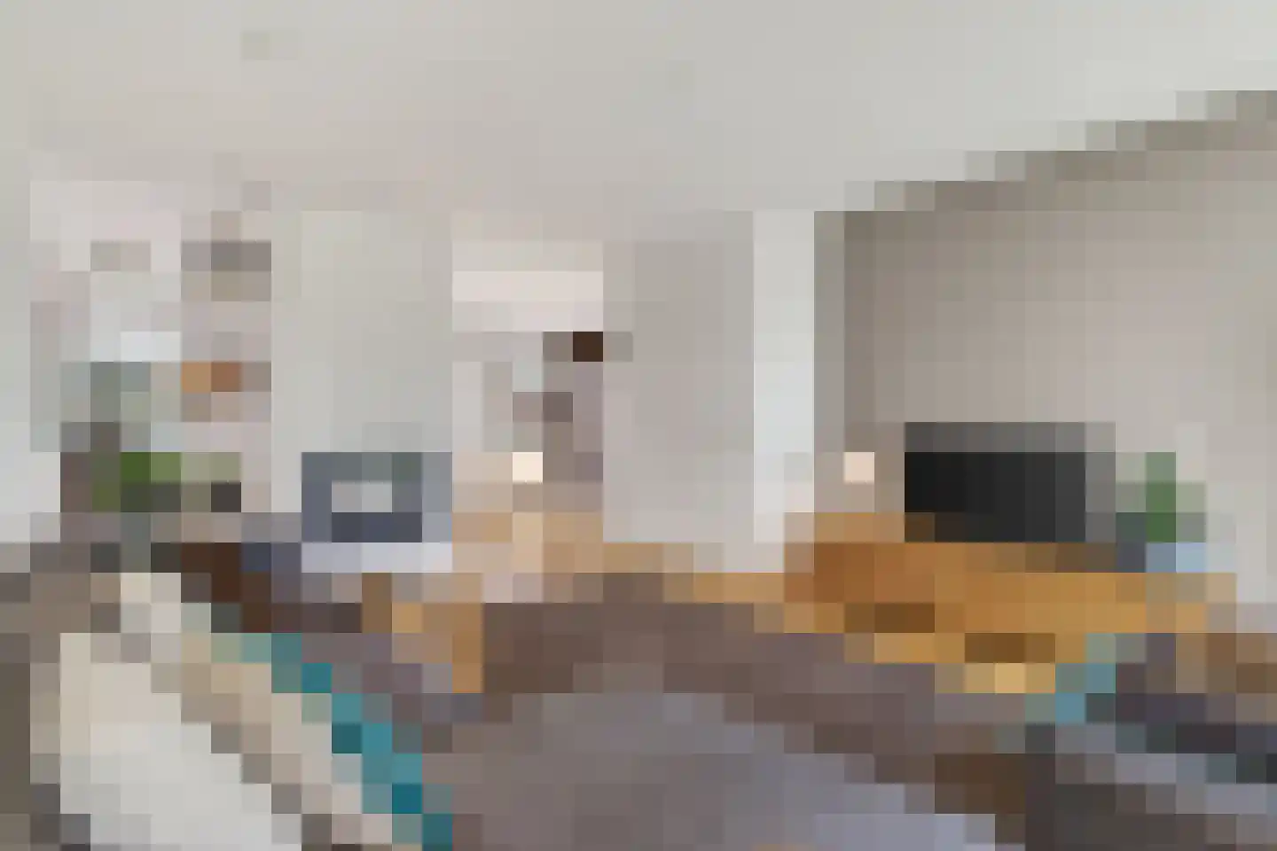Klimopstraat 13 Vught thumbnail 4
