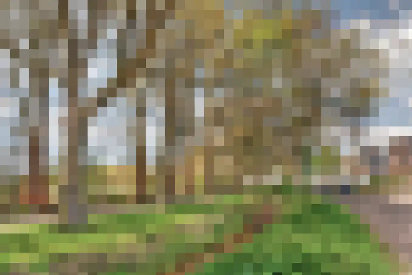 Klimopstraat 13 Vught thumbnail 44