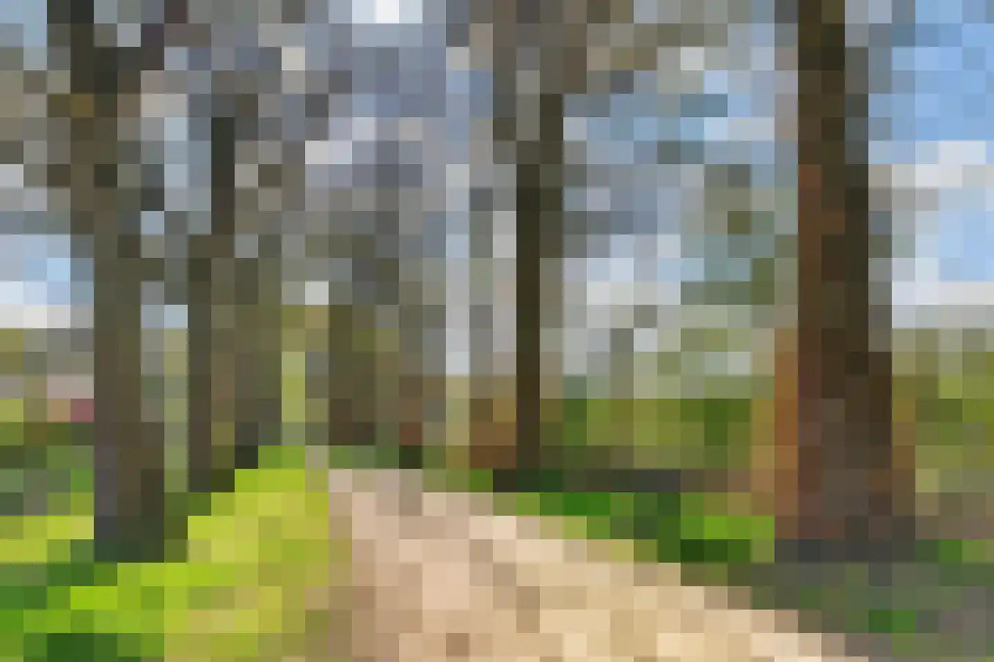 Klimopstraat 13 Vught thumbnail 45