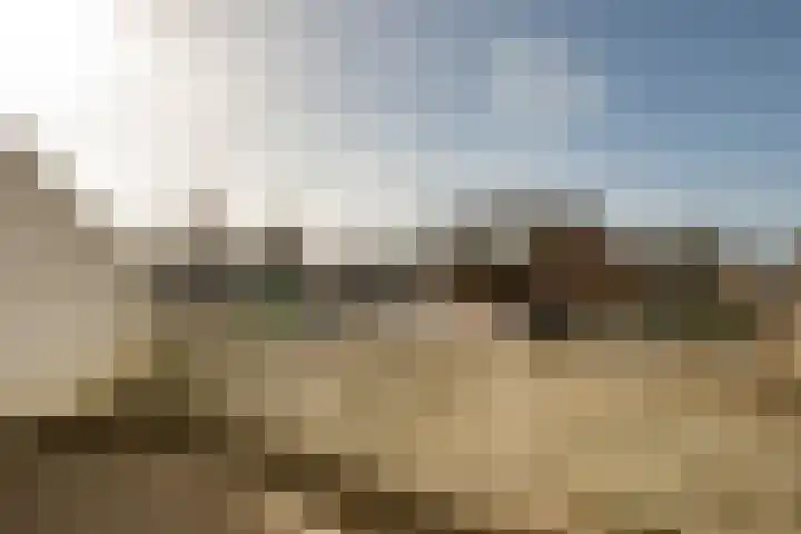 Klimopstraat 14 Bergen op Zoom thumbnail 8