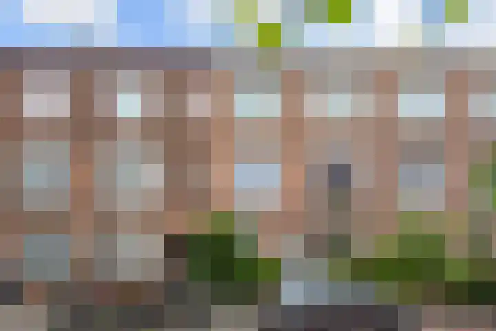 Klimopstraat 150 Den Haag thumbnail 4