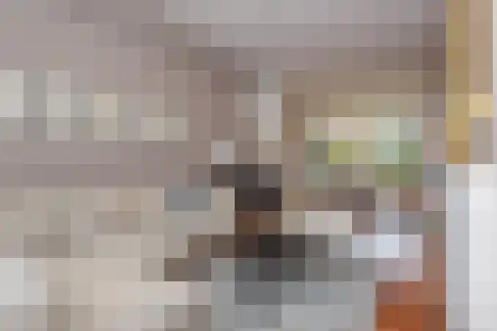 Klimopstraat 150 Den Haag thumbnail 8