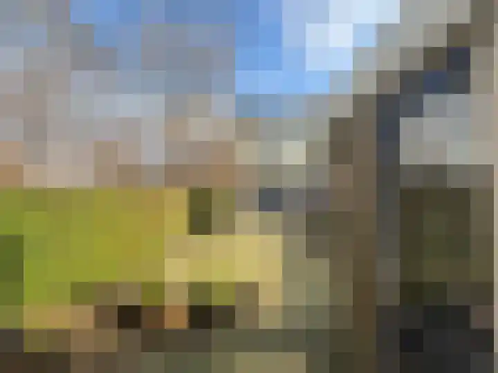 Klimopstraat 19 Schagen thumbnail 11