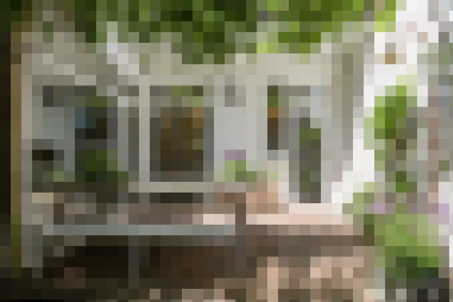 Klimopstraat 212 Den Haag thumbnail 23