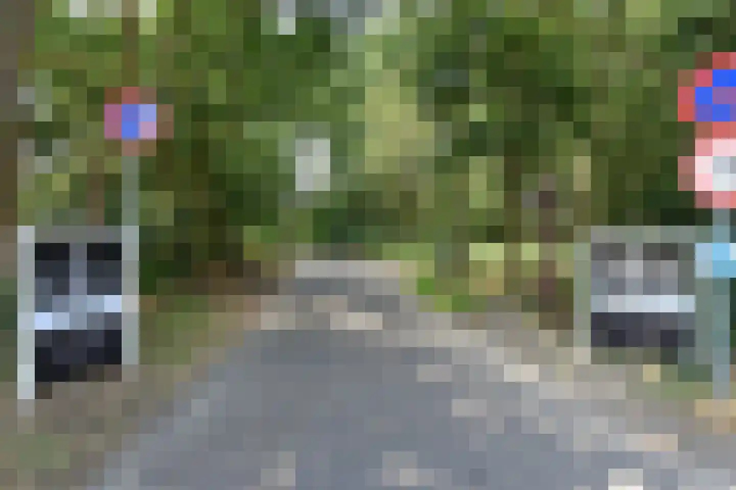 Klimopstraat 212 Den Haag thumbnail 38