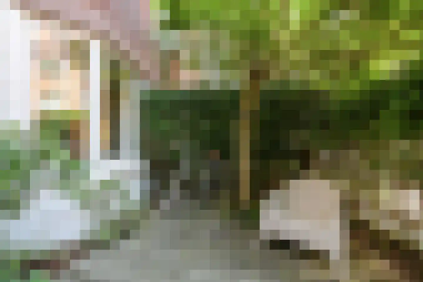 Klimopstraat 212 Den Haag thumbnail 7