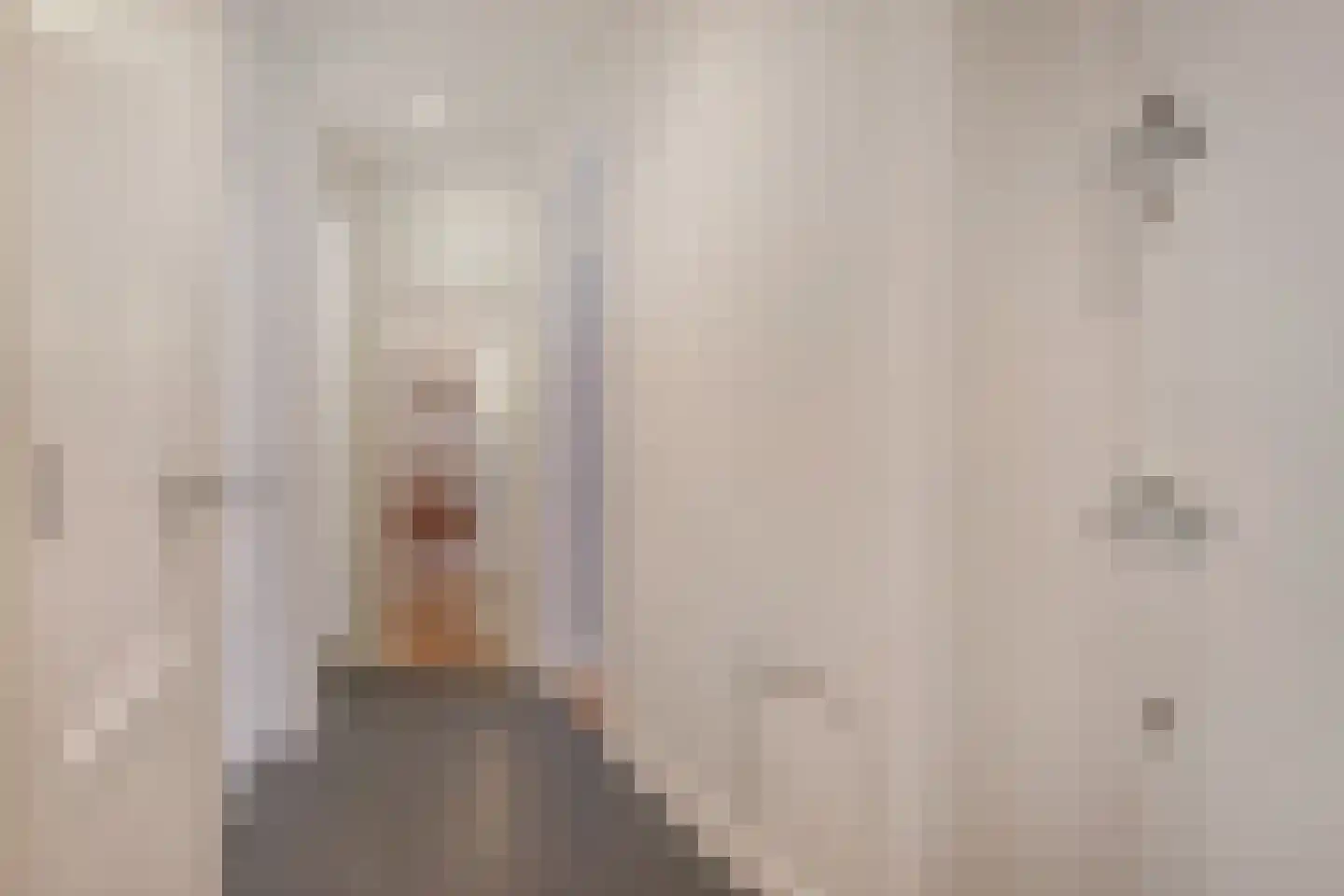 Klimopstraat 212 Den Haag thumbnail 9