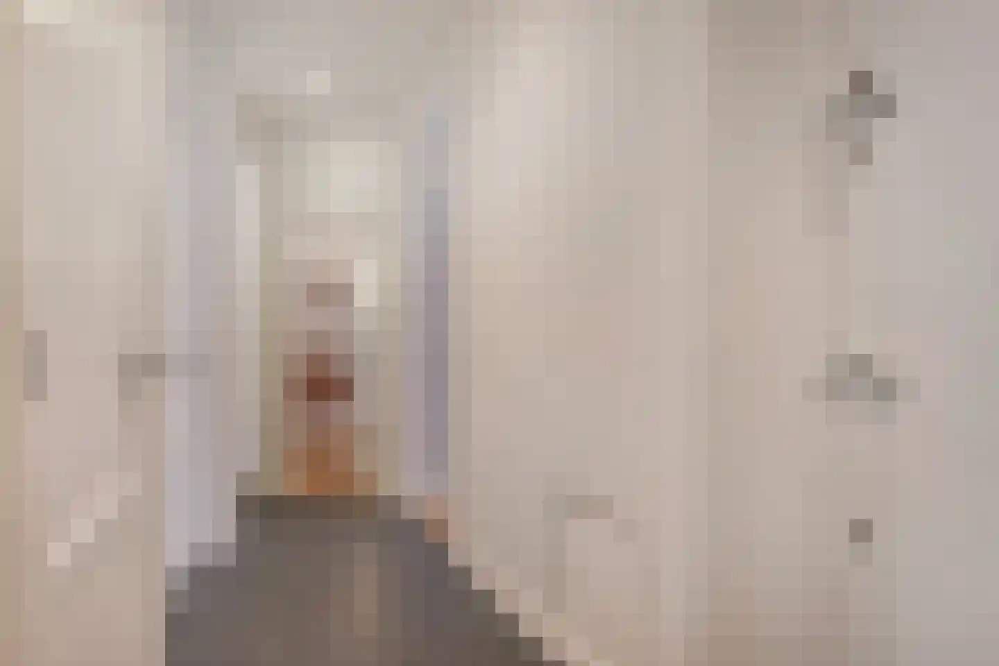 Klimopstraat 212 Den Haag thumbnail 9
