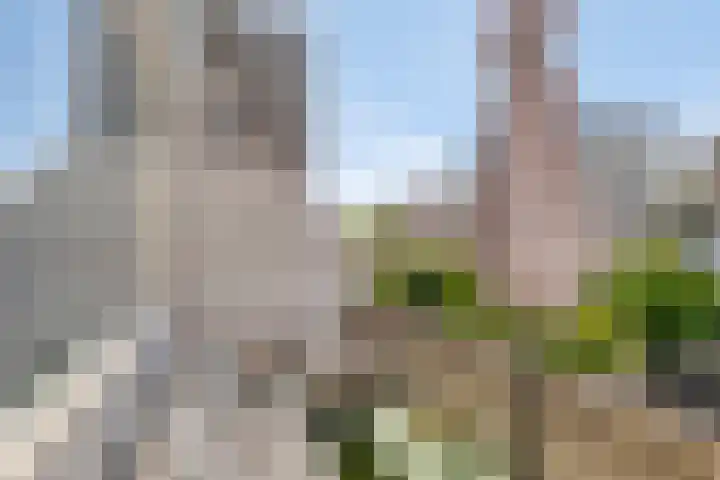 Klimopstraat 22 Bergen op Zoom thumbnail 17