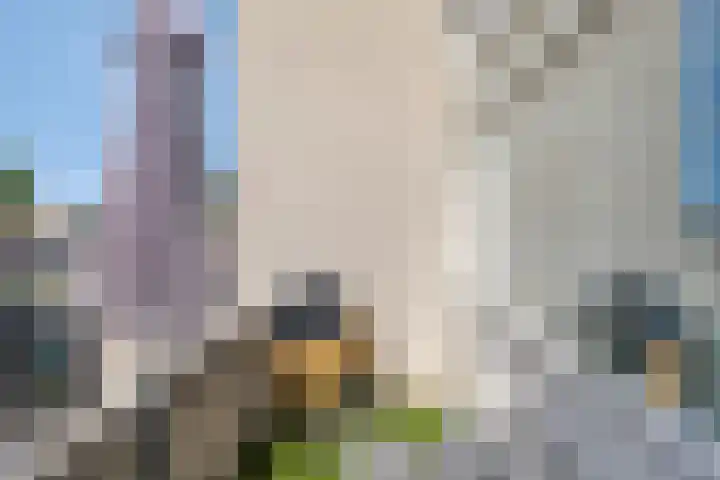 Klimopstraat 22 Bergen op Zoom thumbnail 18