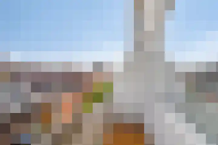 Klimopstraat 22 Bergen op Zoom thumbnail 19