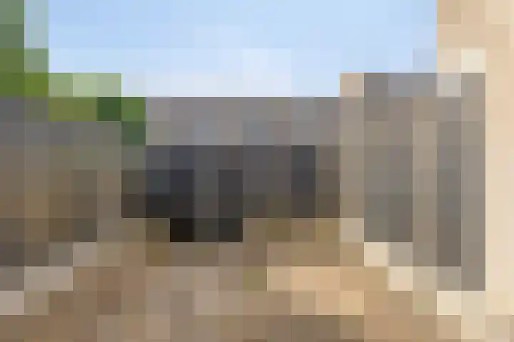 Klimopstraat 22 Bergen op Zoom thumbnail 34
