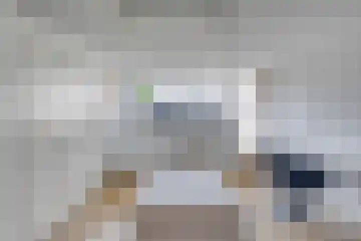 Klimopstraat 22 Bergen op Zoom thumbnail 8