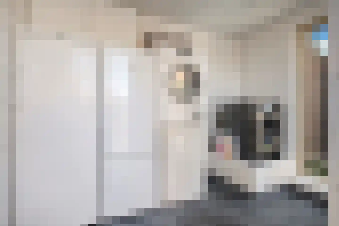 Klimopstraat 23 Best thumbnail 32