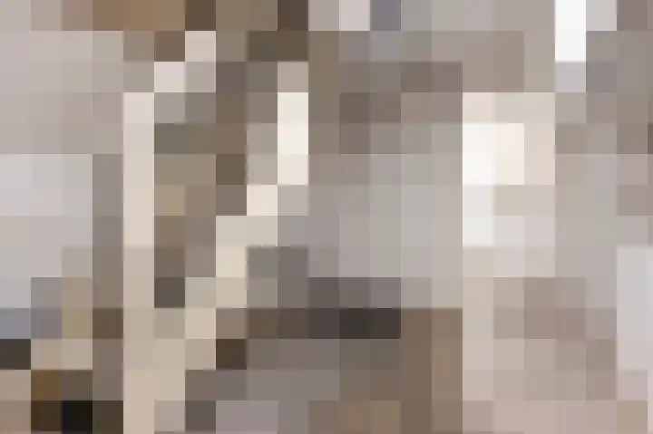 Klimopstraat 3 Heerlen thumbnail 30