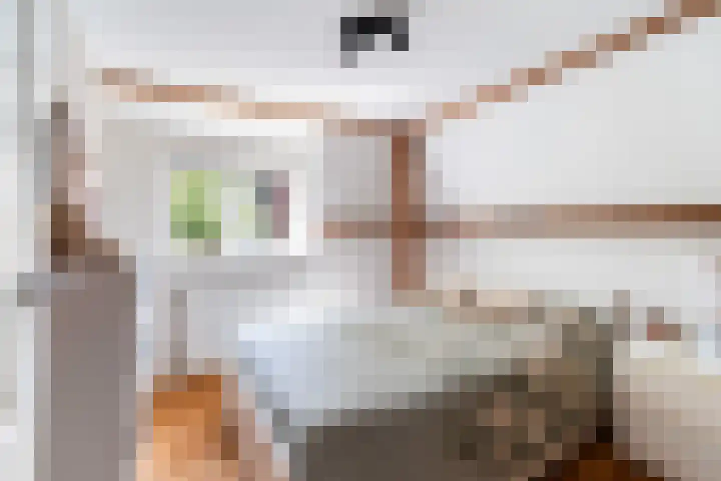 Klimopstraat 4 Gouda thumbnail 27