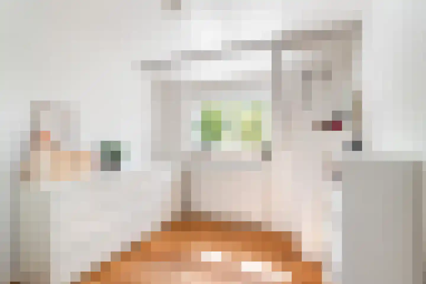 Klimopstraat 4 Gouda thumbnail 31