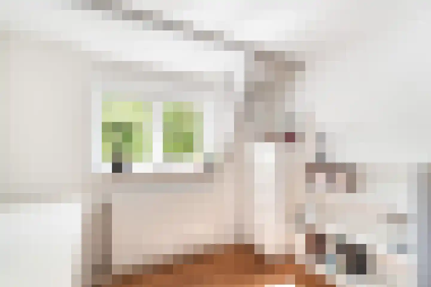 Klimopstraat 4 Gouda thumbnail 32