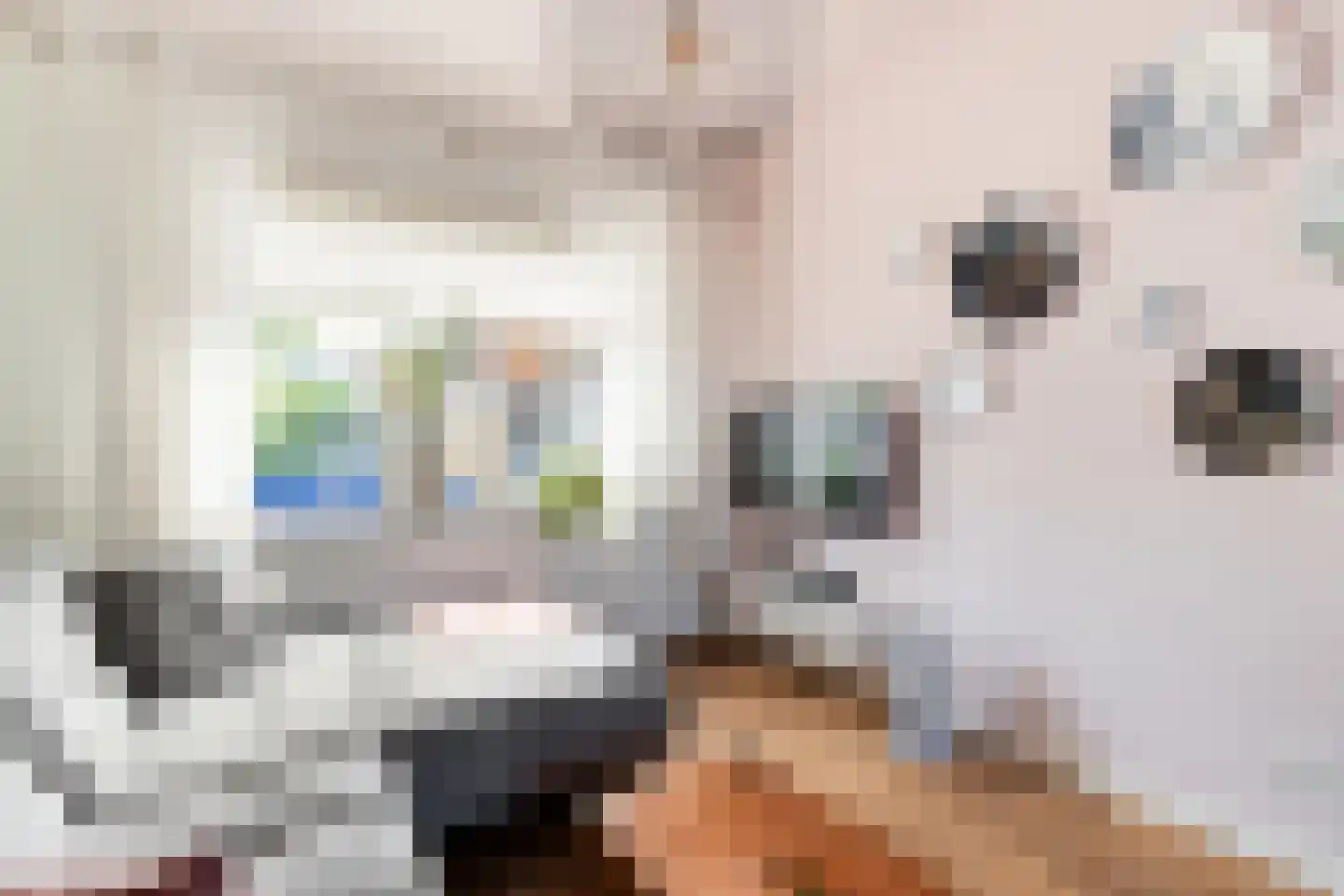 Klimopstraat 4 Gouda thumbnail 9