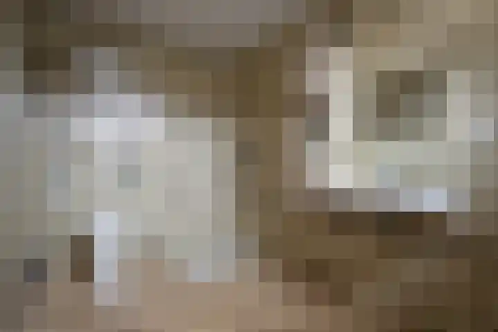 Klimopstraat 4 Heerlen thumbnail 9
