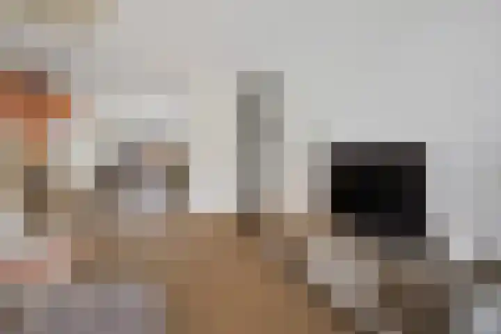 Klimopstraat 4 Schagen thumbnail 10
